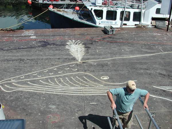 Dock with drawing of humpback whale.